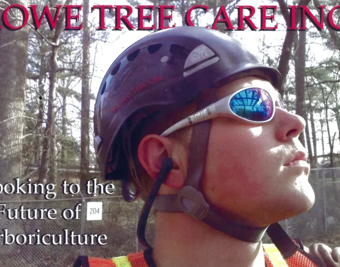 Web capture_5-1-2024_124029_