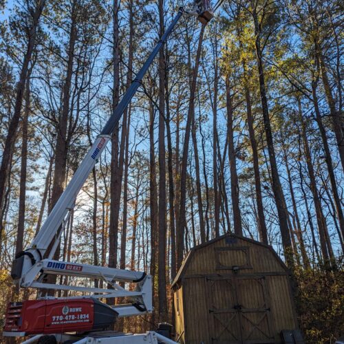 Rowe Tree Service crew and equipment at a tree removal job in Henry County Georgia