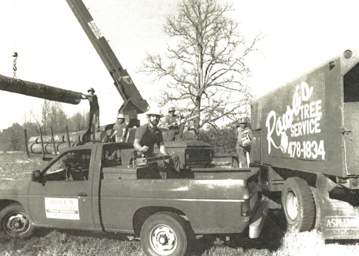 Rowe Tree Service professional tree care in Georgia